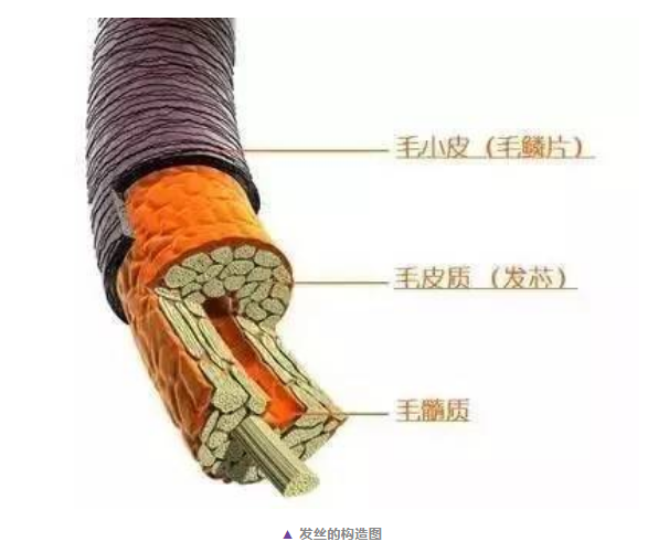 硅油：我不是魔鬼 | 冤枉錢終點站